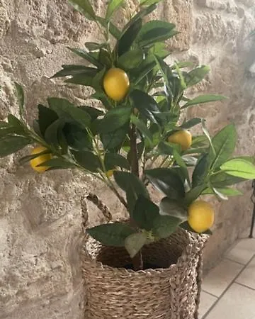 L'isle * Beaucaire (Gard)